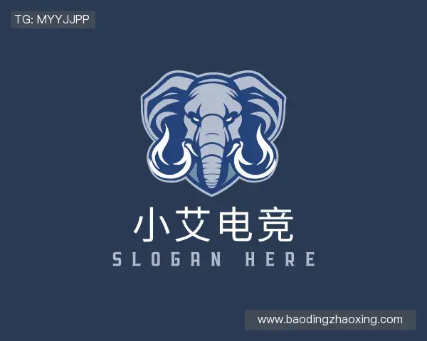 介绍小艾电竞