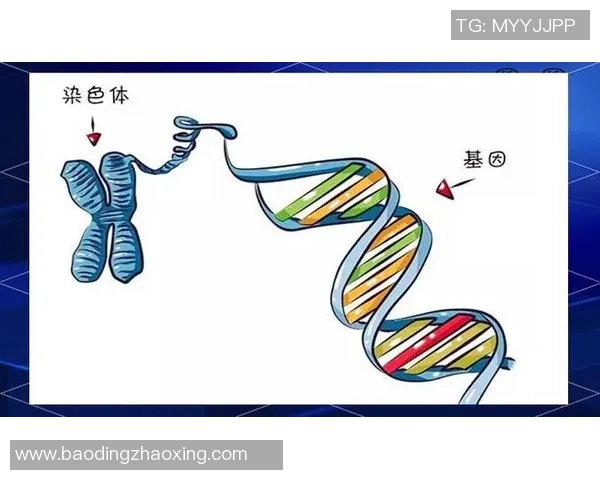 北京乒乓球队技术解析:从基础训练到比赛策略的全面探讨 北京乒乓球队技术解析:从基础训练到比赛策略的全面探讨